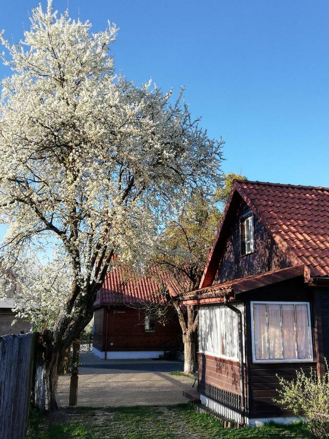 Domek Zapiecek Беловеж Экстерьер фото